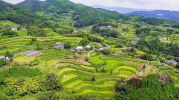 北庄棚田