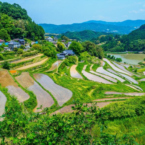 北庄棚田