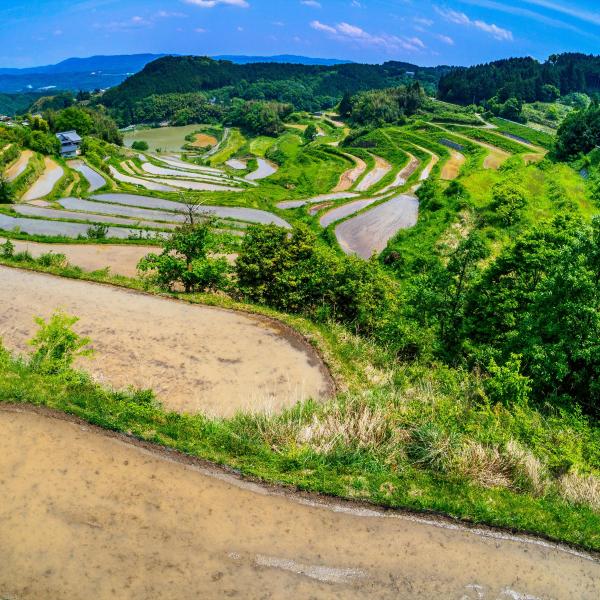 北庄棚田