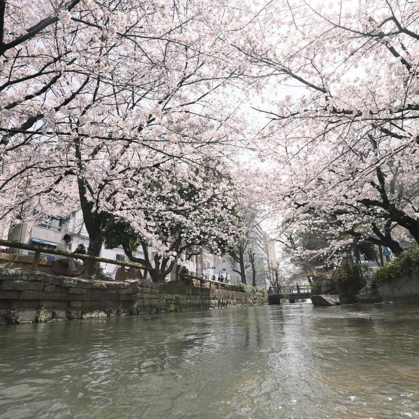 西川緑道公園