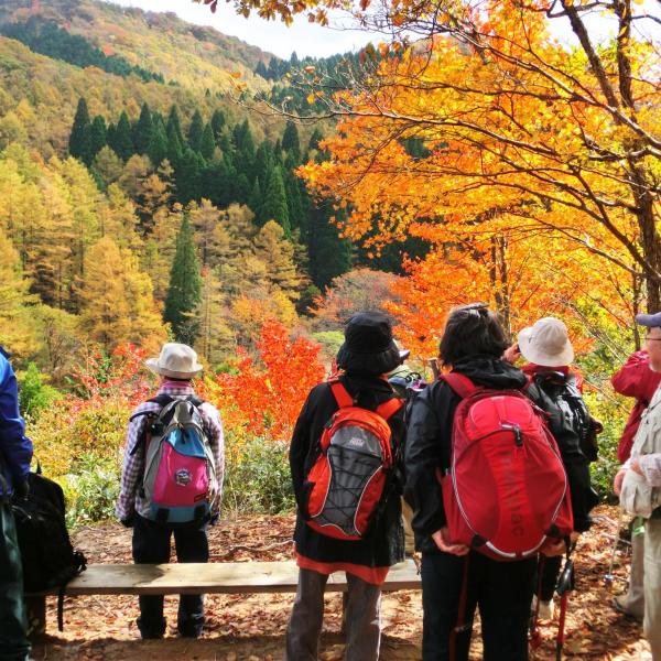 岡山県立森林公園