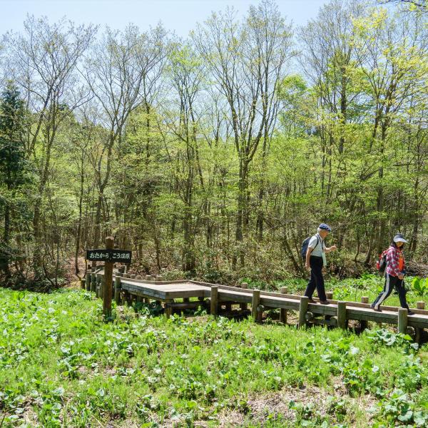 岡山県立森林公園