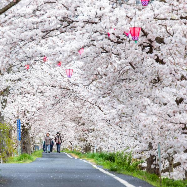 井原堤