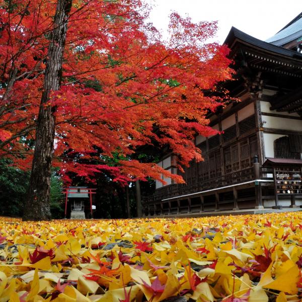木山寺