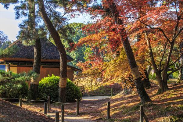 岡山後楽園