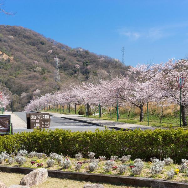 みやま公園