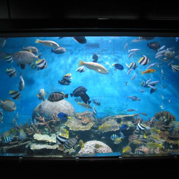 渋川マリン水族館（玉野市立海洋博物館）