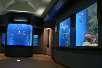 渋川マリン水族館（玉野市立海洋博物館）