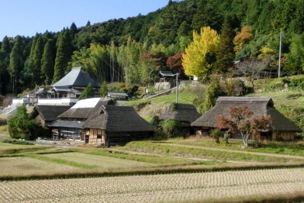 八塔寺ふるさと村 観光写真ダウンロード 写真 動画ライブラリー 旅行会社 岡山観光web 公式 岡山県の観光 旅行情報ならココ