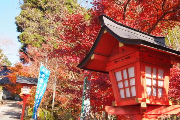 観音寺（もみじ寺）