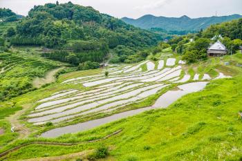 上山棚田