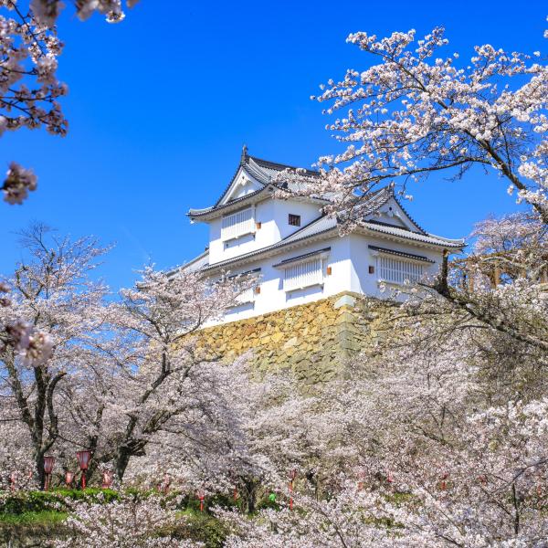 津山城（鶴山公園）