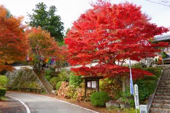 普門寺