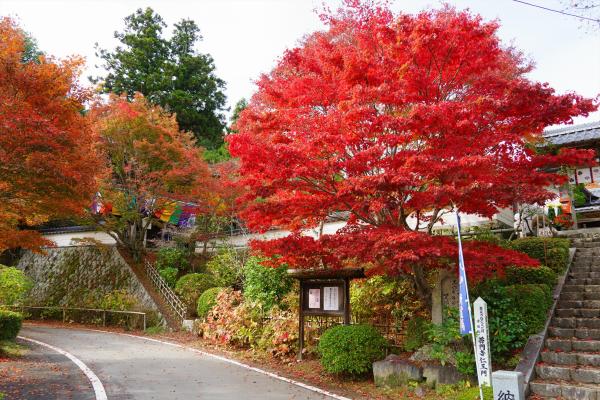 普門寺
