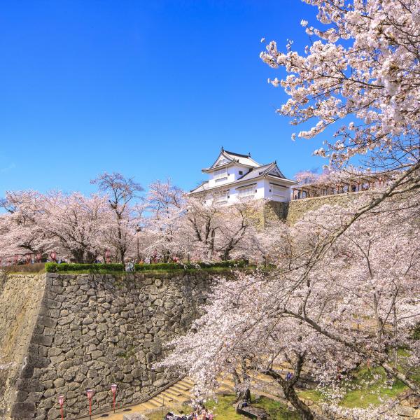 津山城（鶴山公園）
