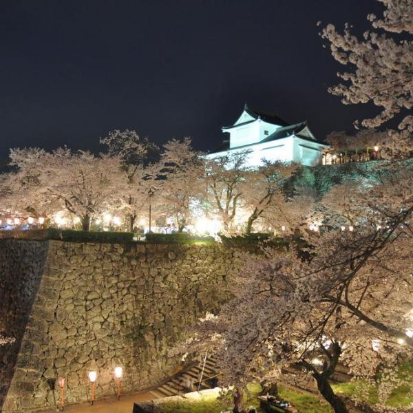 津山城（鶴山公園）