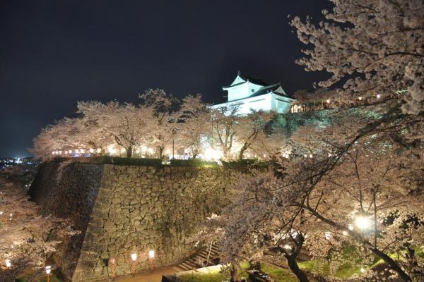 津山城（鶴山公園）
