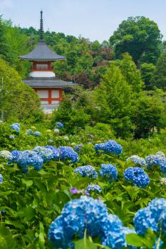 大聖寺（縦）