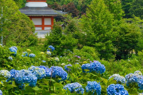 大聖寺（縦）
