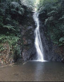 横野滝（縦）