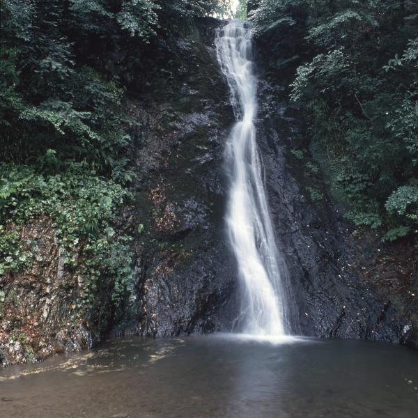 横野滝（縦）