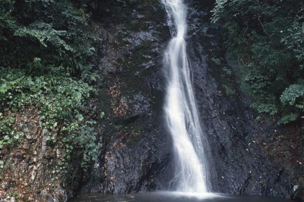 横野滝（縦）